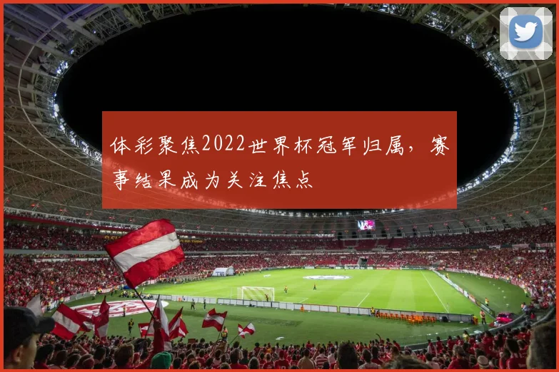 体彩聚焦2022世界杯冠军归属,赛事结果成为关注焦点