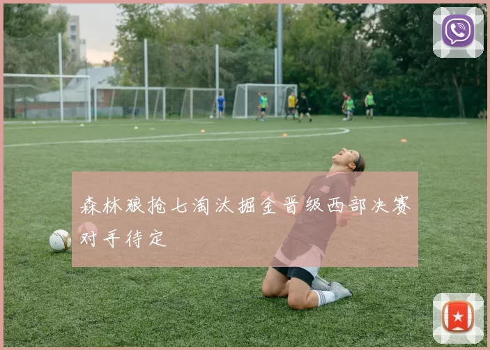 森林狼抢七淘汰掘金晋级西部决赛对手待定