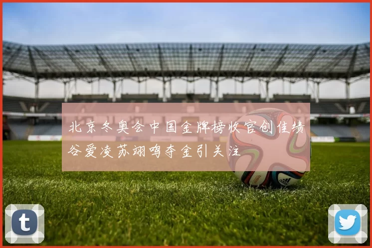 北京冬奥会中国金牌榜收官创佳绩谷爱凌苏翊鸣夺金引关注