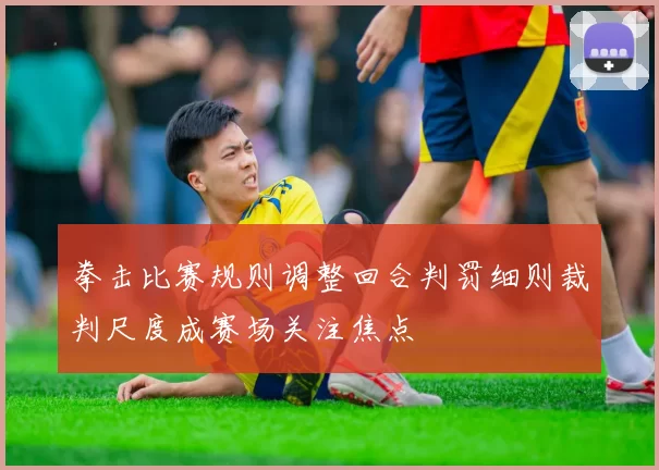 拳击比赛规则调整回合判罚细则裁判尺度成赛场关注焦点