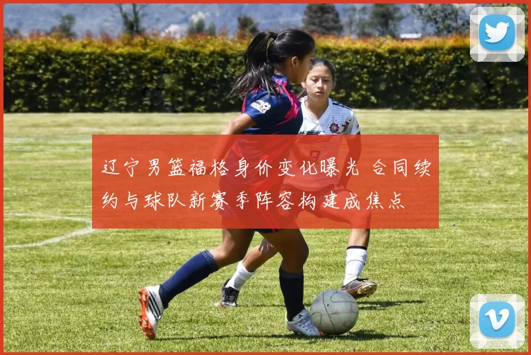 辽宁男篮福格身价变化曝光 合同续约与球队新赛季阵容构建成焦点