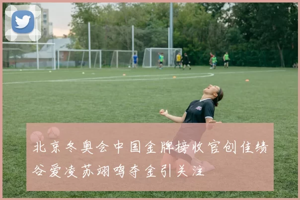 北京冬奥会中国金牌榜收官创佳绩谷爱凌苏翊鸣夺金引关注