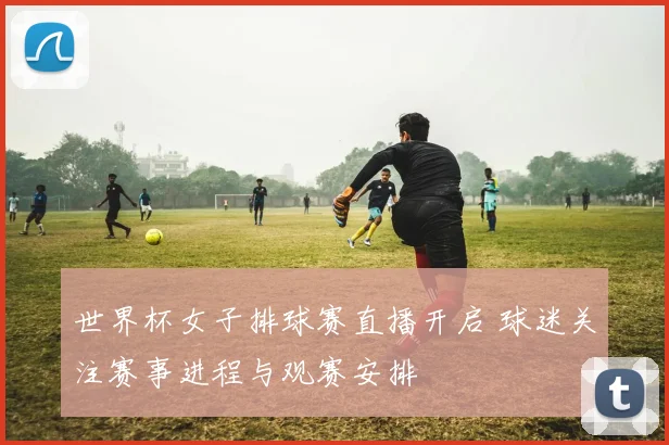 世界杯女子排球赛直播开启 球迷关注赛事进程与观赛安排