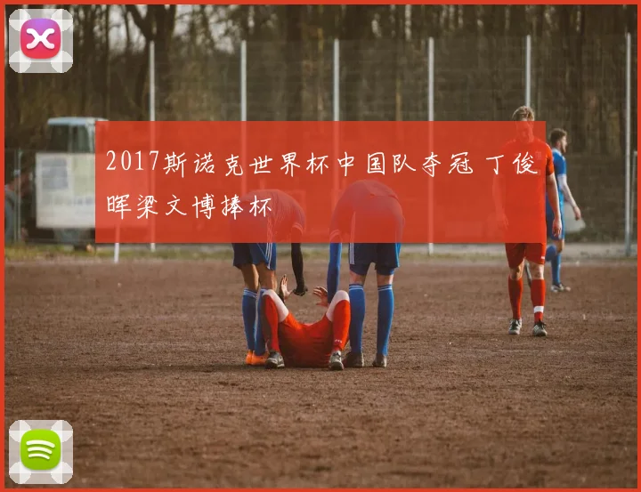 2017斯诺克世界杯中国队夺冠 丁俊晖梁文博捧杯
