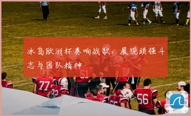 冰岛欧洲杯奏响战歌，展现顽强斗志与团队精神