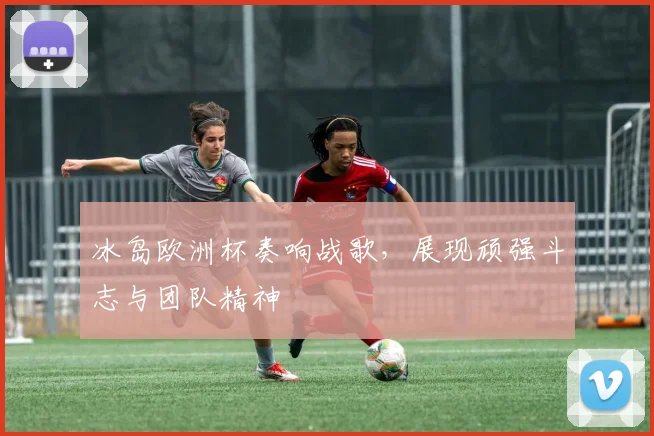 冰岛欧洲杯奏响战歌，展现顽强斗志与团队精神