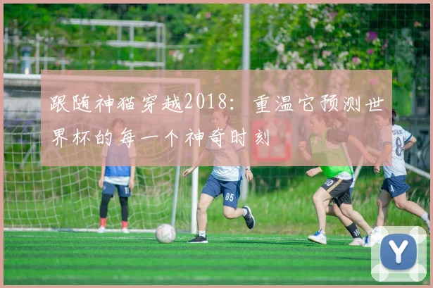 跟随神猫穿越2018：重温它预测世界杯的每一个神奇时刻